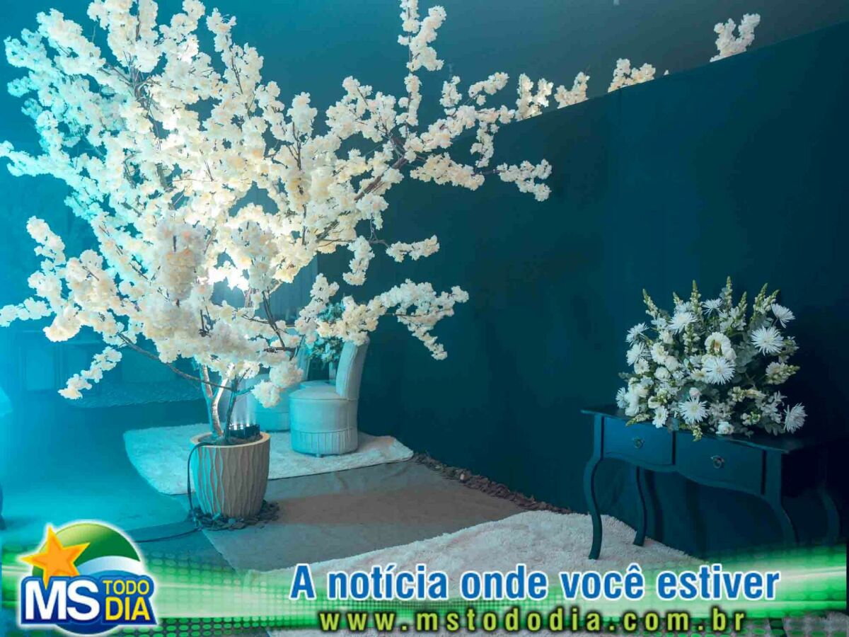 Imagem da Galeria